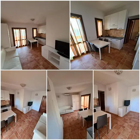 Freedom Apartment